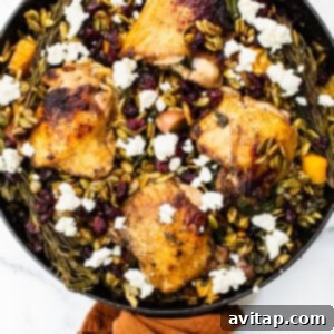 One-Pan Harvest Orzo Dinner 14 Finished Harvest chicken skillet, baked and garnished.