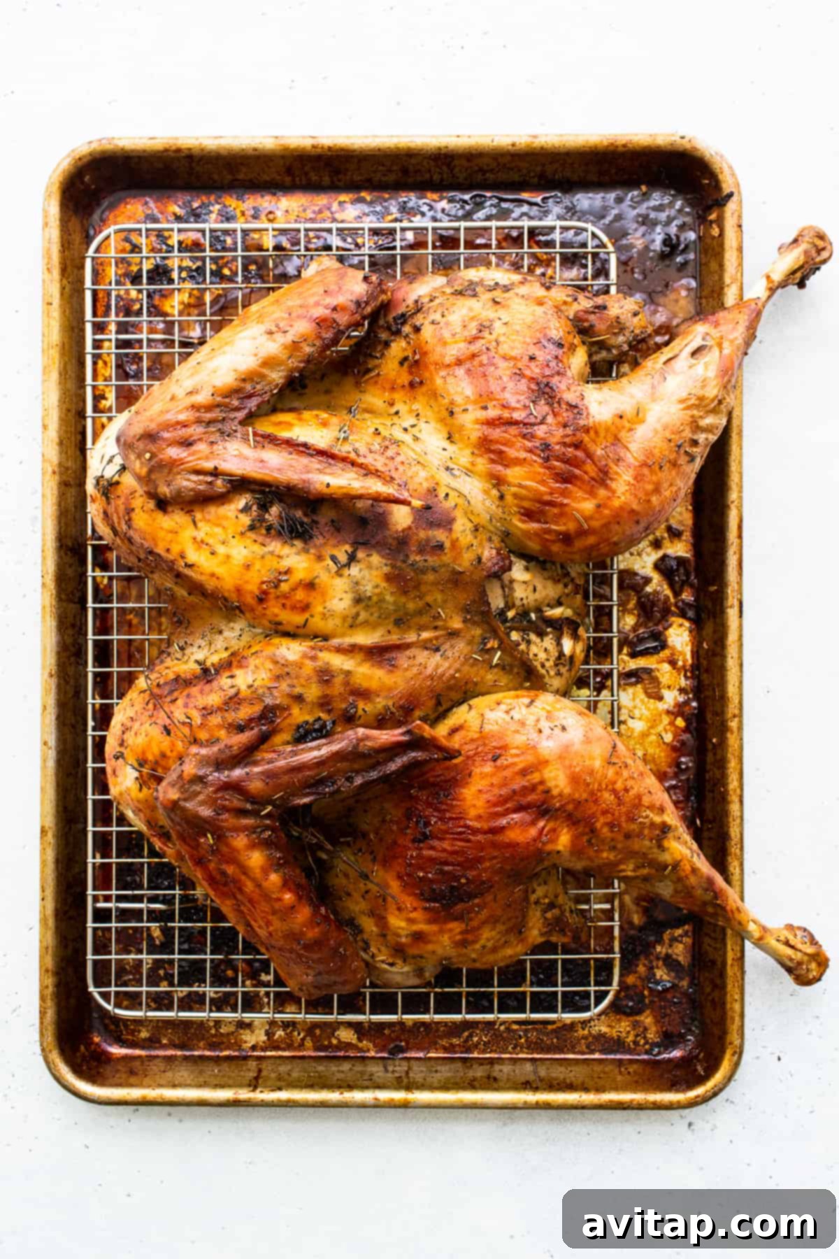 Perfectly roasted, golden-brown dry brined turkey on a baking sheet, ready to be carved for Thanksgiving dinner.