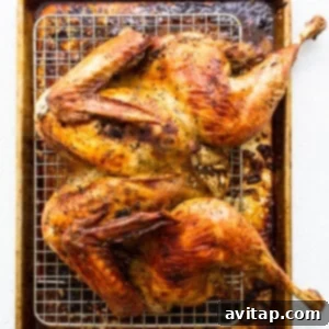 A close-up of a dry brined turkey on a rack, showcasing its seasoned, uncooked skin before roasting.