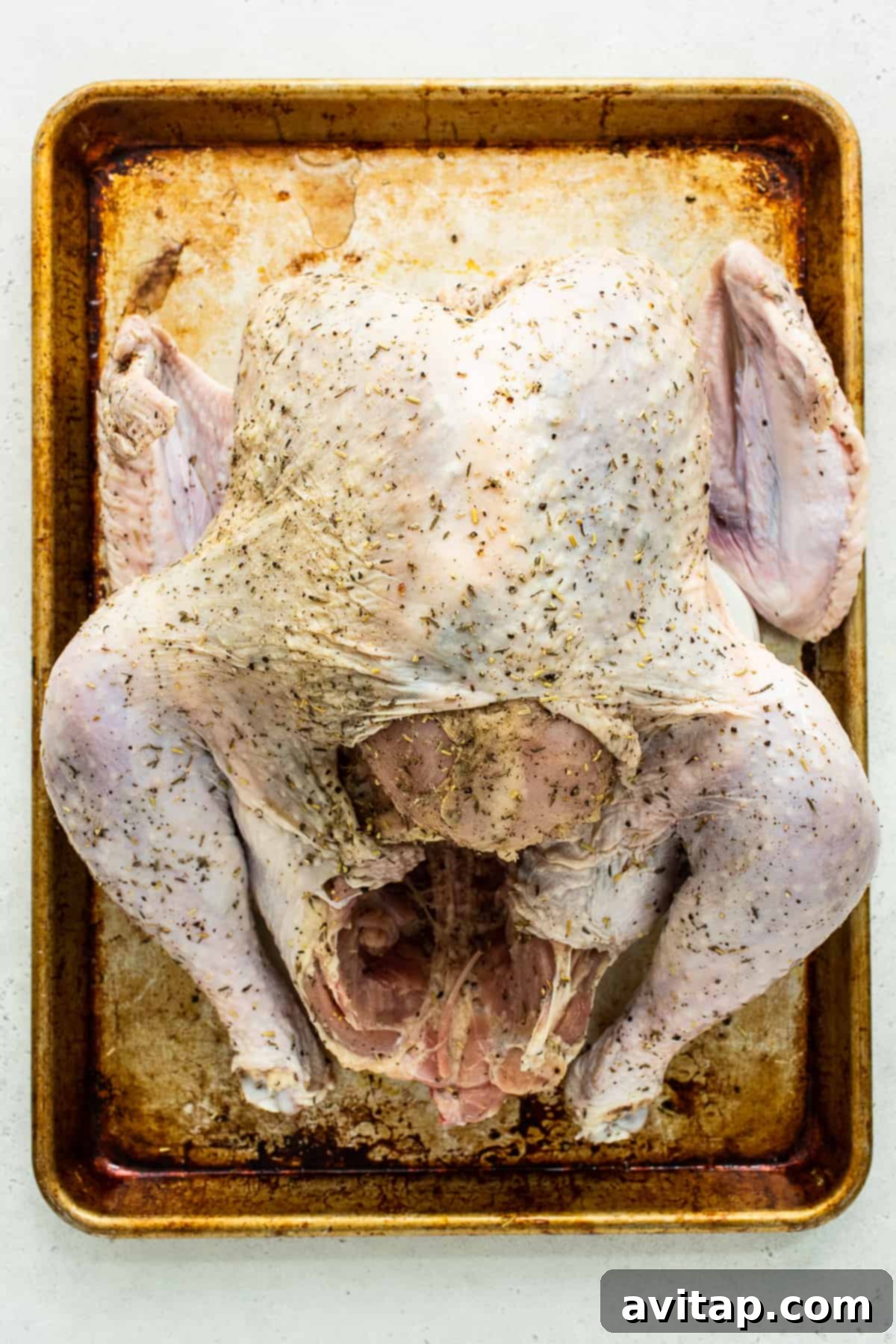 An uncooked, seasoned turkey on a baking sheet, ready for the resting period in the refrigerator, emphasizing preparation before cooking.
