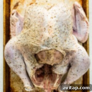 A seasoned turkey with skin separated from the meat, ready for brining.