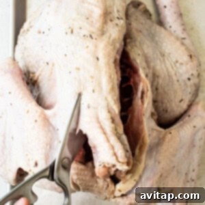 A person cutting out the spine of a turkey with kitchen shears to spatchcock it.