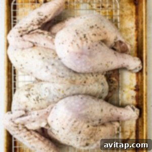 A spatchcocked turkey flattened on a baking sheet, ready for seasoning.
