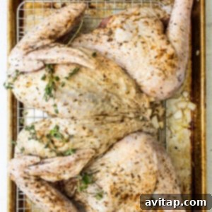 A roasted chicken on a baking sheet with fresh herbs and seasonings.