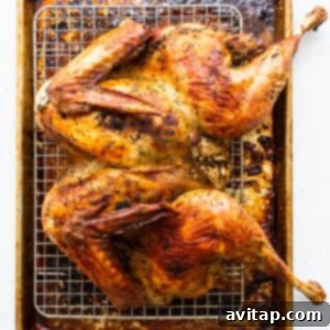 A dry brined turkey on a rack in the oven during roasting, getting basted.