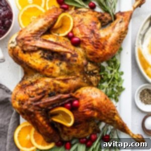 A beautifully roasted turkey on a platter, garnished with oranges and sage, after resting.