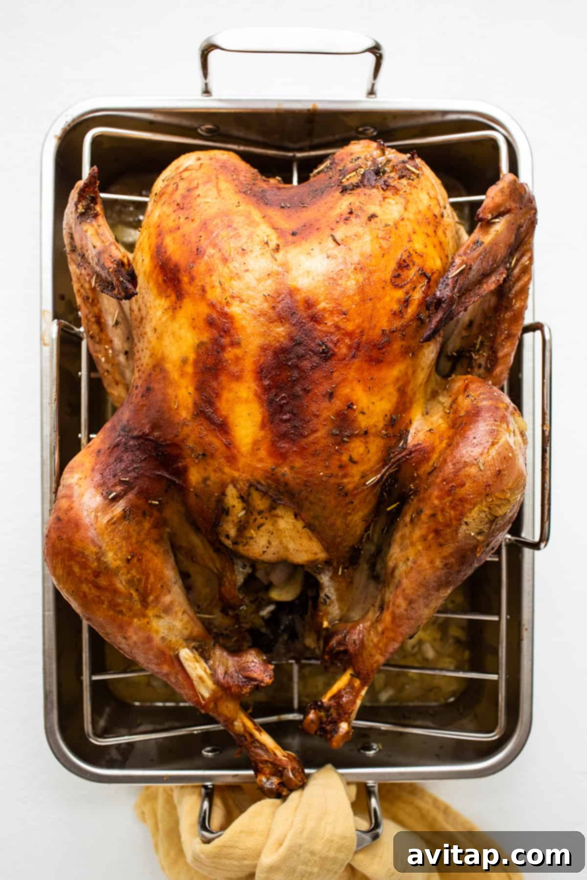A beautifully roasted whole turkey in its roasting pan, fresh out of the oven.