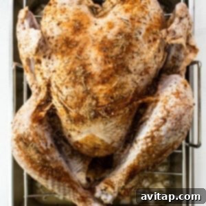 Turkey coated with a flavorful dry rub.