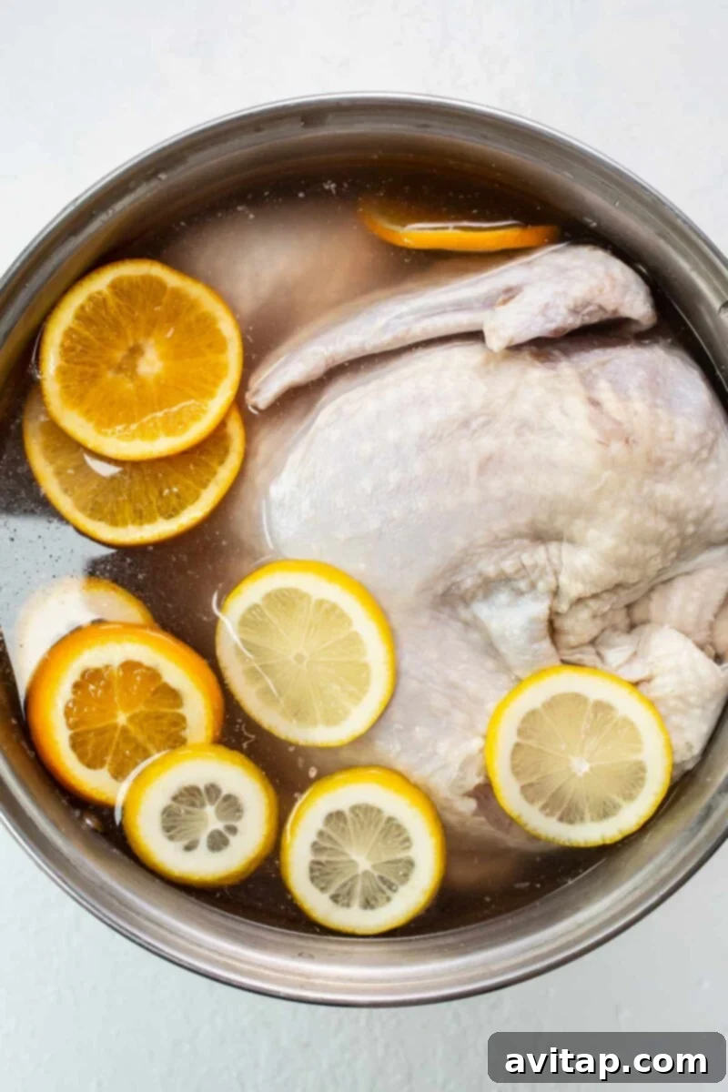 A whole turkey submerged in a flavorful brine solution, ready for overnight refrigeration.