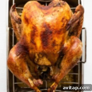 A perfectly roasted turkey resting in a pan after cooking.