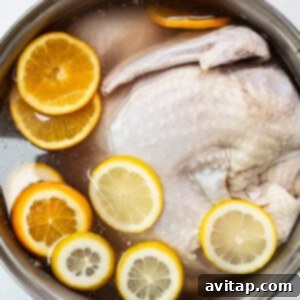 A whole turkey submerged in a brining pot with a clear lid.