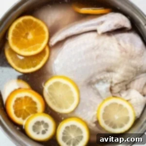 Turkey in a brine.