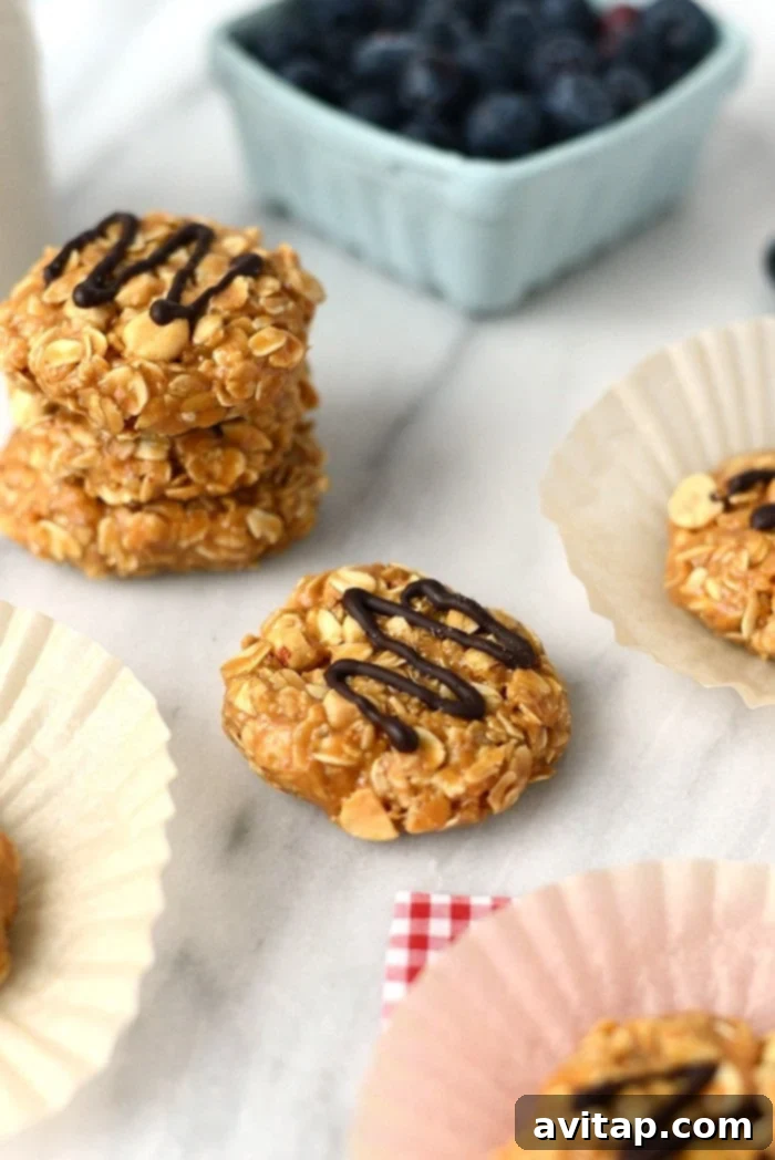 Close-up of a perfectly formed healthy peanut butter no-bake cookie, showcasing its rustic texture and the optional dark chocolate drizzle. A wholesome and delicious treat.