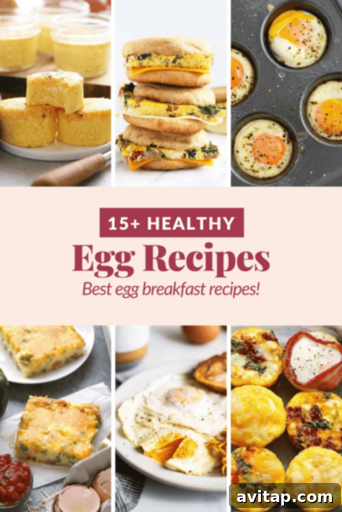 15 Delicious Breakfast Egg Recipes 2 A vibrant spread of various healthy egg breakfast dishes including scrambled eggs, egg cups, and baked eggs.