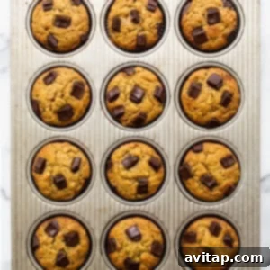 Chocolate chip muffins in a muffin tin.