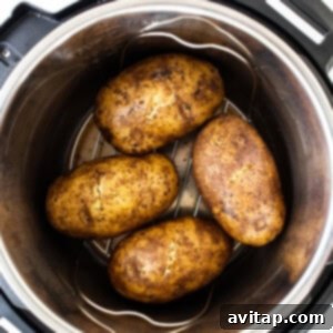 Seasoned potatoes arranged on a metal rack inside an Instant Pot.