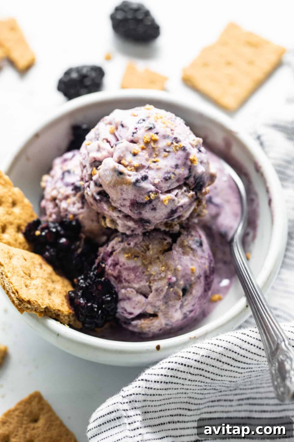 A bowl of creamy blackberry cheesecake cottage cheese ice cream, garnished with fresh blackberries and graham cracker crumbs.