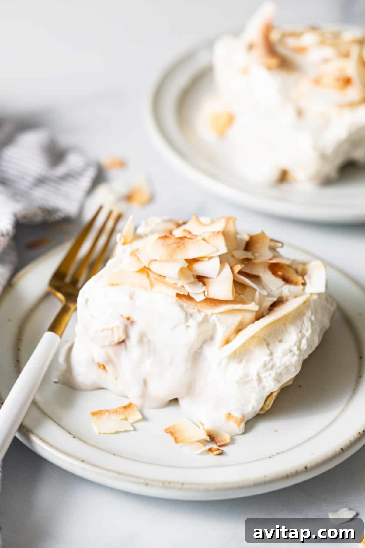 A beautifully plated slice of coconut cream pie bar, showcasing its distinct layers of crust, creamy filling, and whipped topping, garnished with toasted coconut flakes.