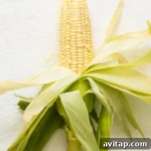 Corn on the cob on a white background, husks removed.