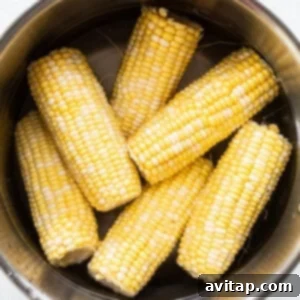 Corn on the cob submerged in water in a metal pot.
