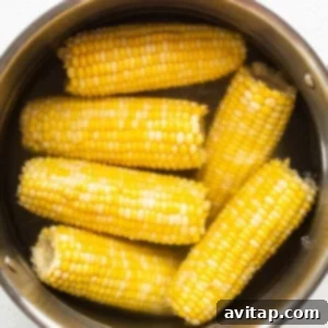 Boiling corn on the cob in a metal pot.