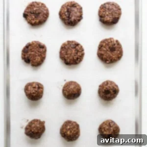 Chocolate oatmeal cookies on a baking sheet, showing shaped dough balls before baking, ready for the oven.