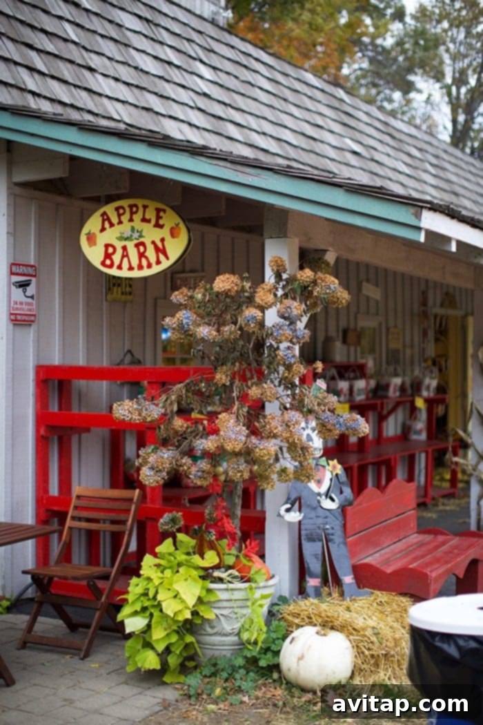 Minnetonka Orchards girls trip, enjoying fall apple picking in Minnesota