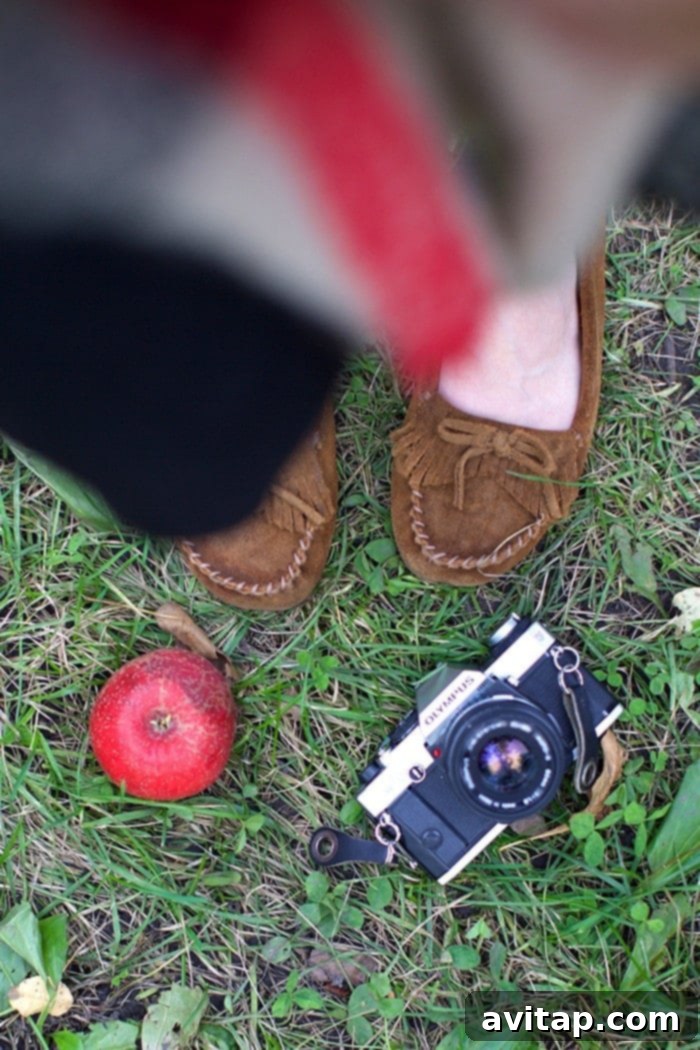 Minnetonka Orchards in autumn, perfect for a girls' day out