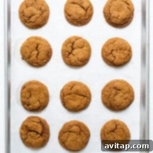 Warm Spiced Pumpkin Ginger Molasses Cookies 13 Ginger cookies on a baking sheet.