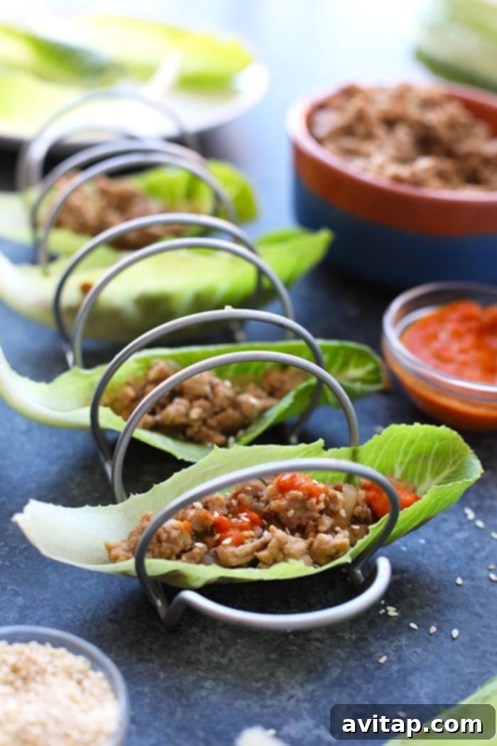 Fresh & Flavorful Korean Chicken Lettuce Wraps Close-up of fresh Korean style lettuce wraps arranged in a holder, showcasing the vibrant ingredients.