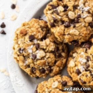 A plate of chocolate chip oatmeal cookies on a white plate.