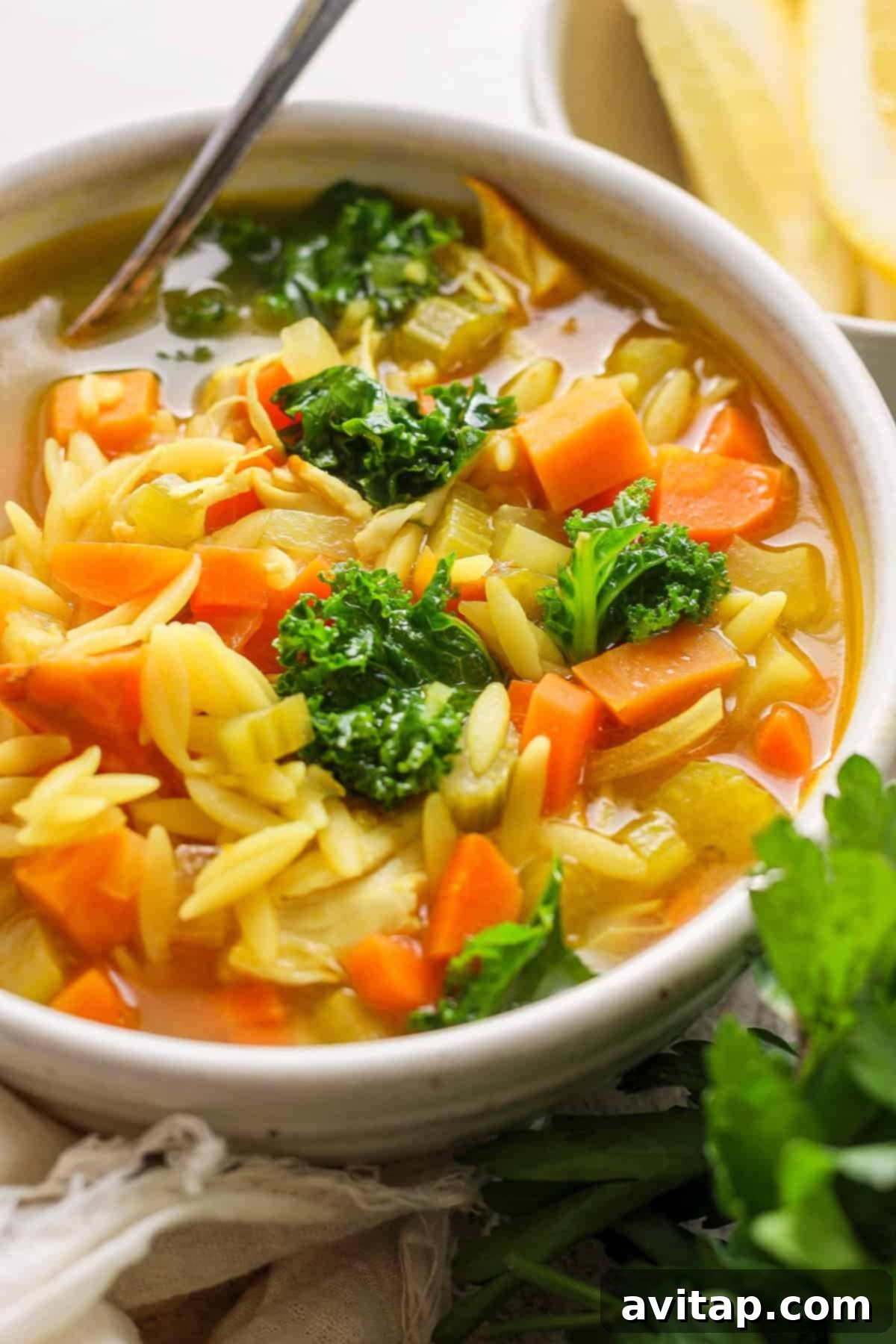 A beautifully plated bowl of Golden Chicken Orzo Soup garnished with fresh herbs.