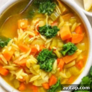 A bowl of chicken noodle soup with carrots and kale.