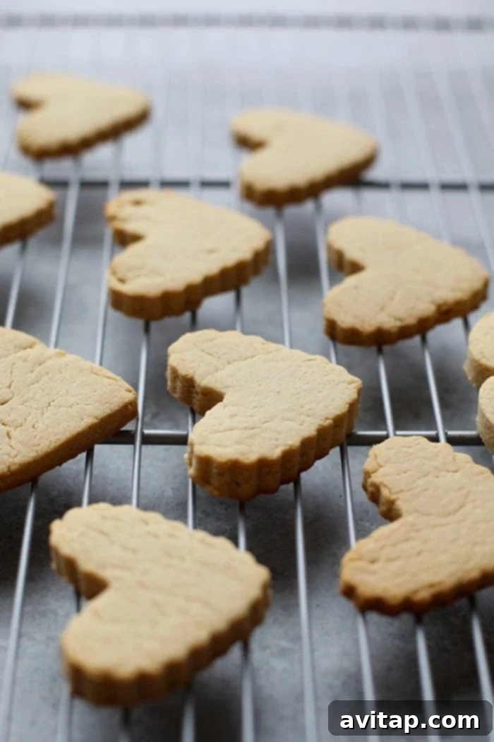 Freshly baked healthy sugar cookies cooling before decoration Healthy almond flour sugar cookies cooling on a wire rack