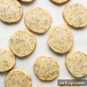 Lemon Poppy Seed Shortbread 10 Baked lemon poppy seed cookies cooling on a baking sheet.
