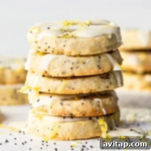 Lemon Poppy Seed Shortbread 12 Garnished lemon poppy seed cookies ready for serving.