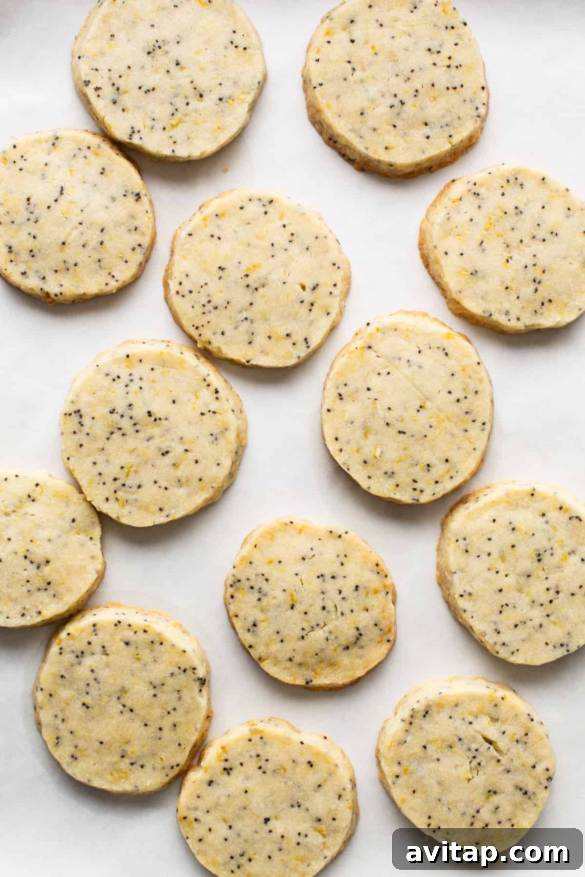 Lemon Poppy Seed Shortbread 3 Freshly baked lemon poppy seed cookies cooling on a baking sheet.