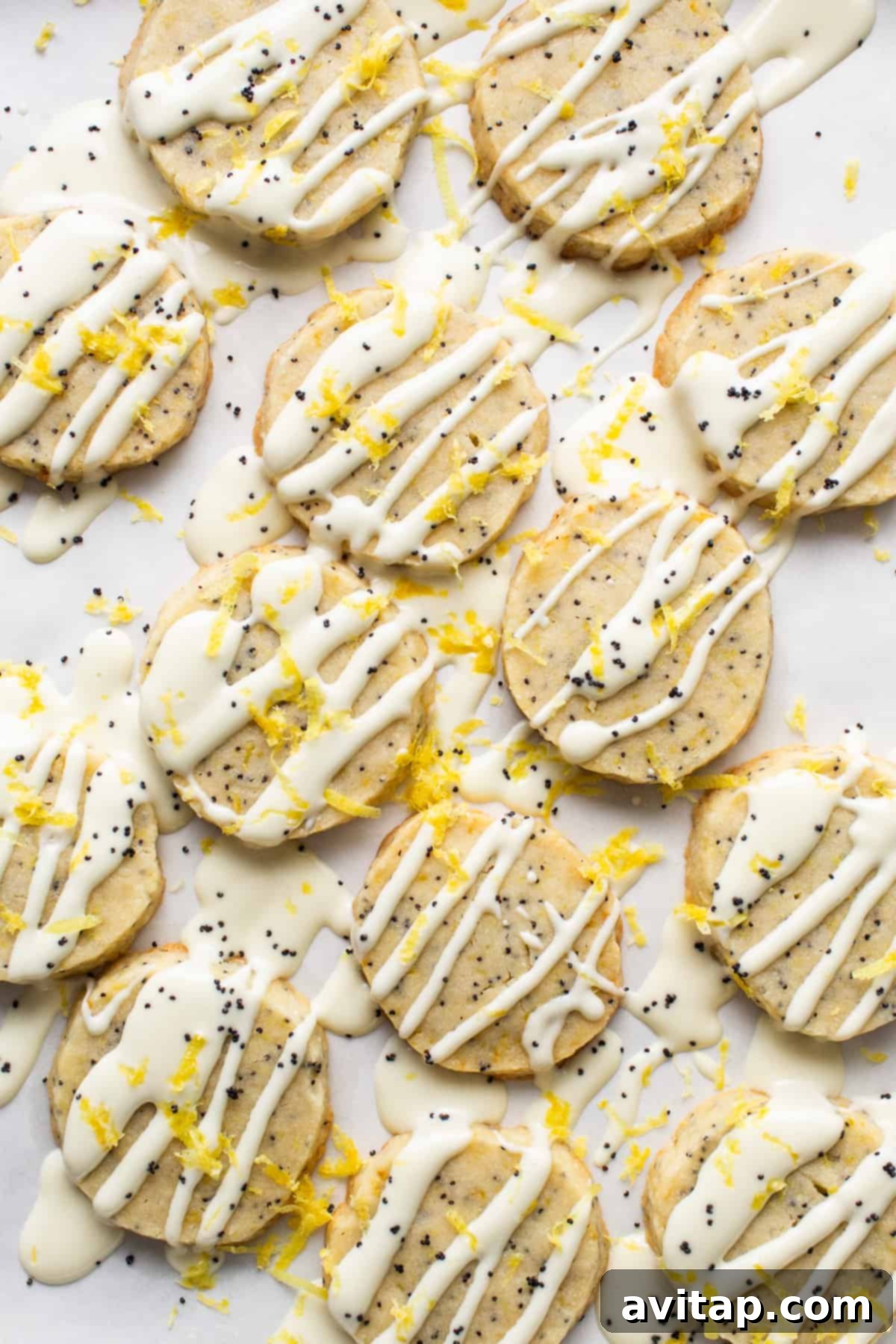 Lemon Poppy Seed Shortbread 4 A beautiful arrangement of lemon poppy seed shortbread cookies, artfully drizzled with white chocolate.