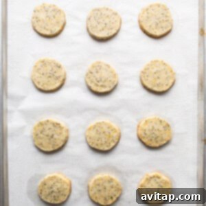 Lemon Poppy Seed Shortbread 9 Lemon poppy seed cookies arranged on a baking sheet before baking.