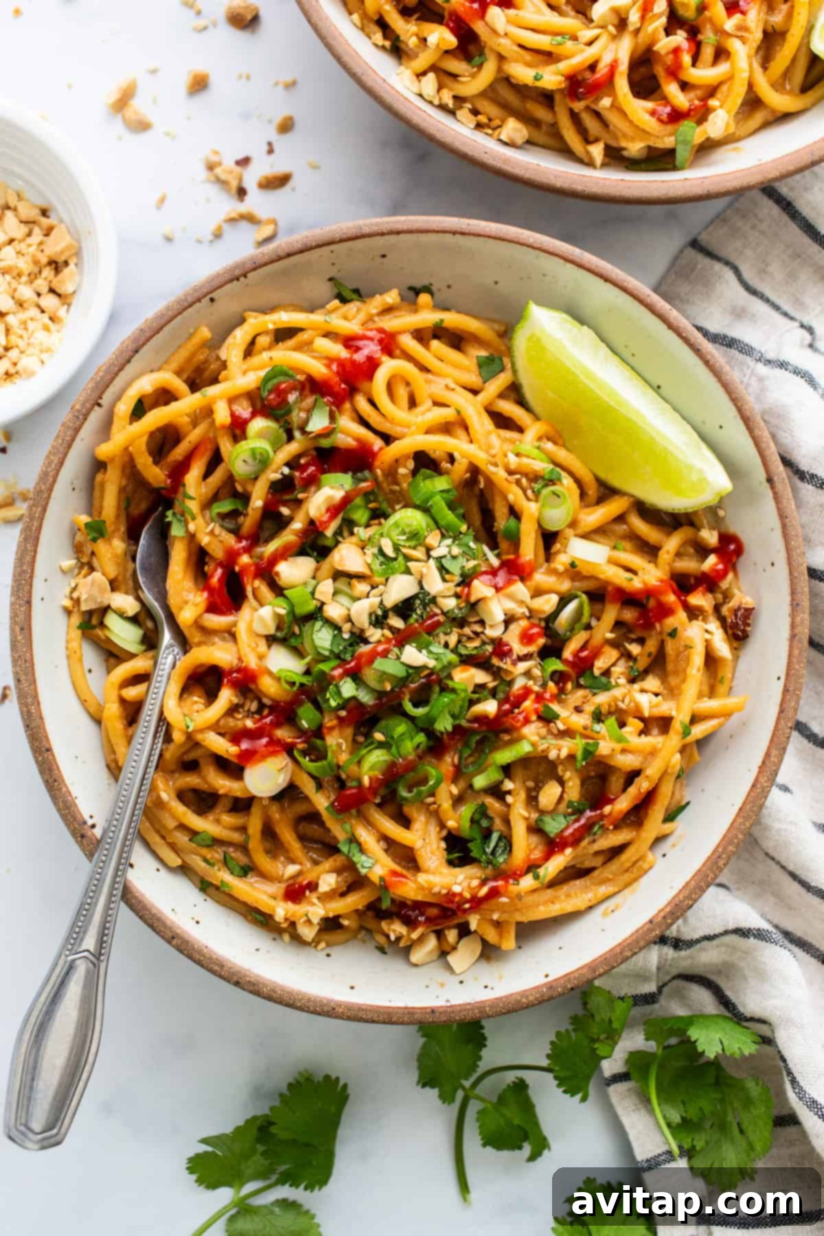 Two bowls of delicious Asian peanut noodles, garnished with fresh herbs and peanuts.