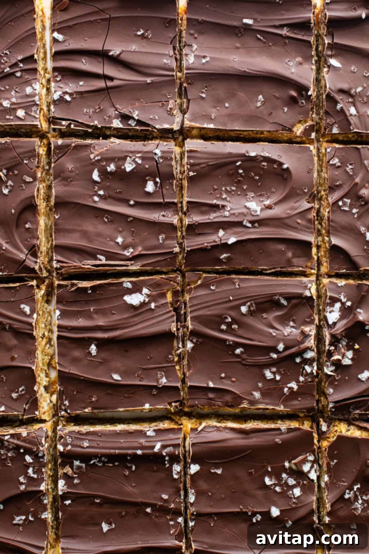 Ultimate Peanut Butter Cup Oatmeal Bars 6 A close-up view of a chocolate peanut butter oatmeal bar, highlighting its rich texture, chocolate topping, and sea salt sprinkle.