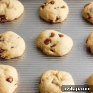 Freshly baked cookies on a baking sheet, golden and slightly puffed.
