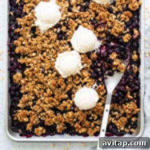 Homemade blueberry crumble with scoops of vanilla ice cream on top.