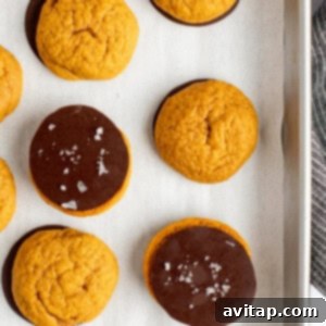 A baking tray with parchment paper holds nine round orange cookies, some plain and some half-dipped in chocolate, with a few elegantly sprinkled with sea salt, showcasing the finished product ready for chilling.
