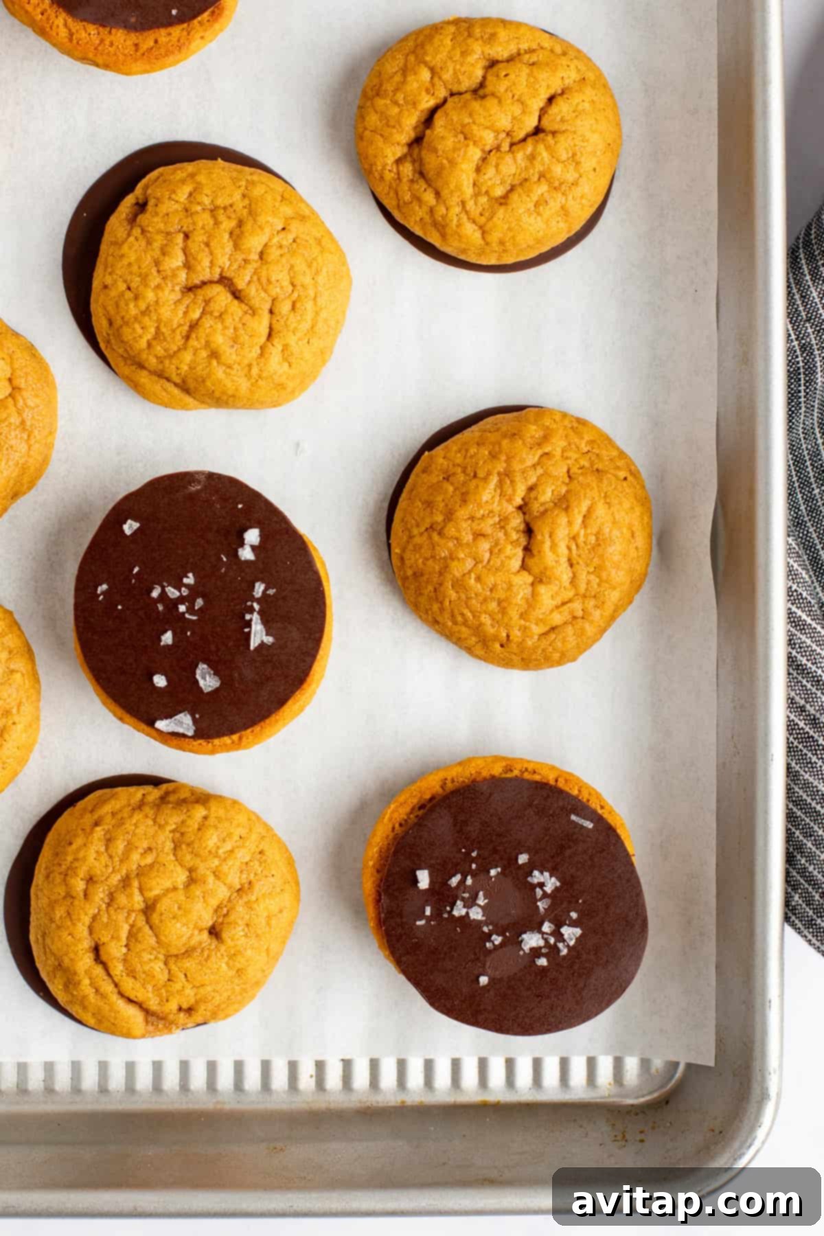 A baking tray with parchment paper showcases nine perfectly round, orange pumpkin cookies. Some are plain, while others are half-dipped in rich chocolate, with a few elegantly sprinkled with flakey sea salt, ready to be enjoyed.