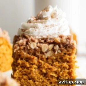 A slice of pumpkin coffee cake topped with whipped cream and a sprinkle of cinnamon on a white surface, cooling and ready to be served.