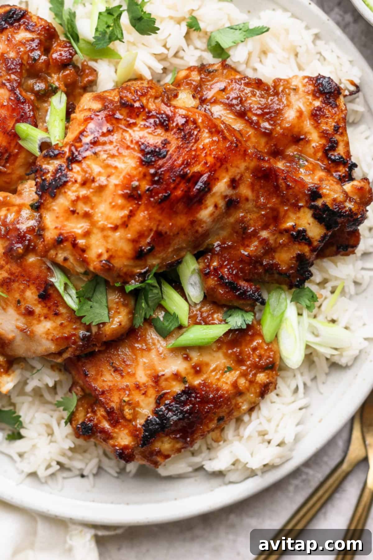 Grilled chicken thighs glazed with a honey garlic sauce, served on white rice with chopped green onions and cilantro garnish.