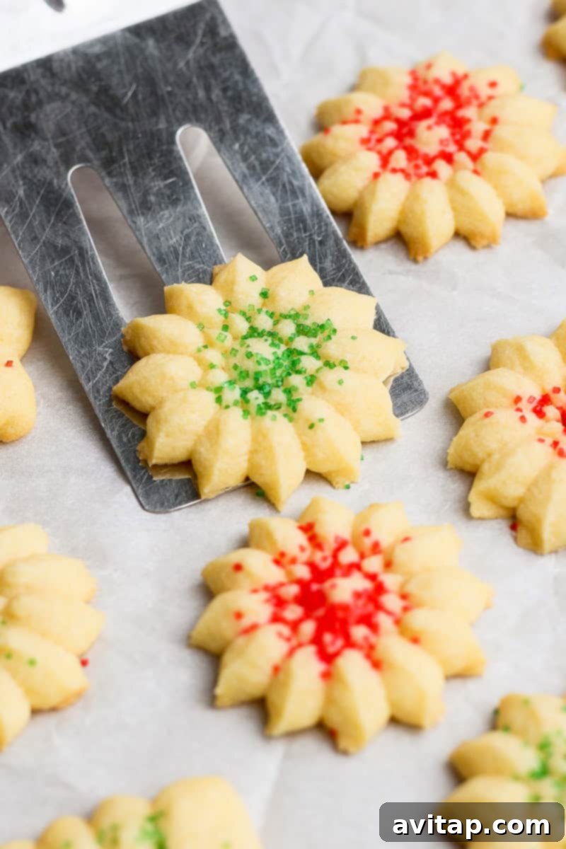 Mabel's Classic Spritz Cookies 6 Butter cookies decorated with red and green sprinkles, arranged on a baking sheet. A spatula lifts one cookie.