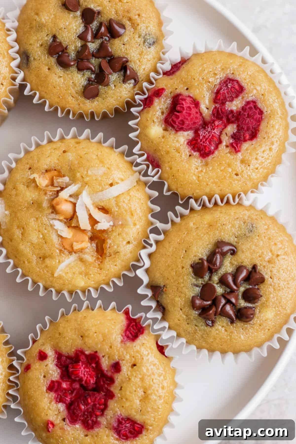 A beautifully arranged plate featuring six assorted whipped cottage cheese muffins in white paper liners. Some are topped with melting chocolate chips, others with vibrant red raspberries, and one with toasted coconut flakes and chopped nuts, showcasing the delicious variety.