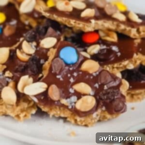 Pieces of chocolate bark topped with peanuts, colorful candies, raisins, and sea salt on a white plate.